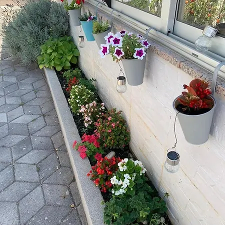 Apartmán Mirjana *
