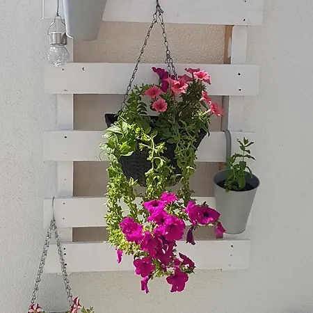 Apartment Mirjana *