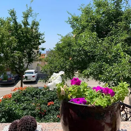 Apartment Mirjana Makarska