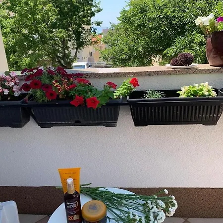 Mirjana Apartment *